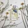1 - Eolie Parfums Hiera' Perfume Extracts 100ml