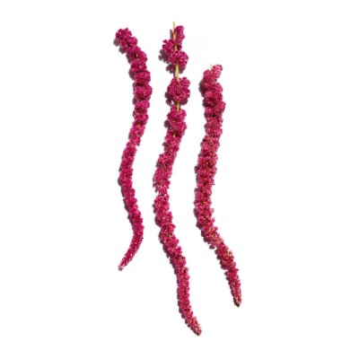 1 - Clarins Lip Comfort Oil 04 Candy 7ml