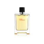 1 - Terre D'Hermès Eau de Toilette