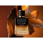 2 - Elie Saab L'Homme Eau De Parfum Intense 100 ml