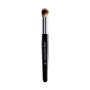 1 - Diego dalla Palma Pennello Maxi Correttore E Perfezionatore N°19
