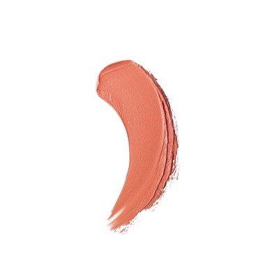 1 - Estée Lauder Pure Color Envy Matte, 111 Quiet Roar, 3.5g