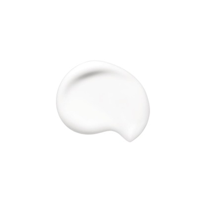 1 - Shiseido Synchro Skin Soft Blurring Primer, 30ml