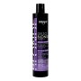 1 - Dikson Dikso Blonde Anti-Yellow Toning 300ml