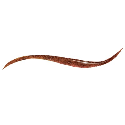 1 - Elizabeth Arden Beautiful Color Liquid Asset Eyeliner 02 Gilded Brown 1.7ml