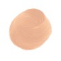 1 - Elizabeth Arden Stroke Of Perfection Concealer 01 Fair 22.7 g