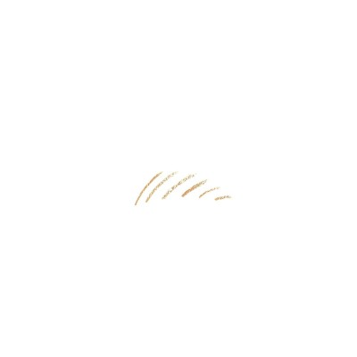 1 - Elizabeth Arden Beautiful Color Natural 01 Honey Blonde 0.09g