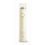 1 - Vitality's EFFECTO Lacca professionale 500 ml