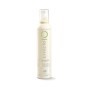 1 - Vitality's EFFECTO Restorative fixing mousse 250 ml