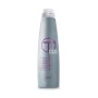 1 - Vitality's Technica Silver 1000 ml