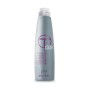 1 - Vitality's Technica Silver 250 ml
