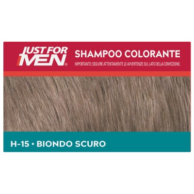 1 - Just For Men Dark Blond/Lightest Brown H-15 hair colour Blonde 66 ml