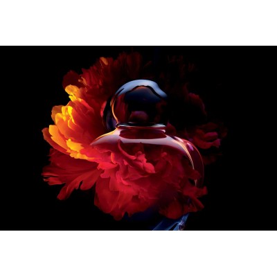 1 - Dior Hypnotic Poison Eau De Toilette 100ml