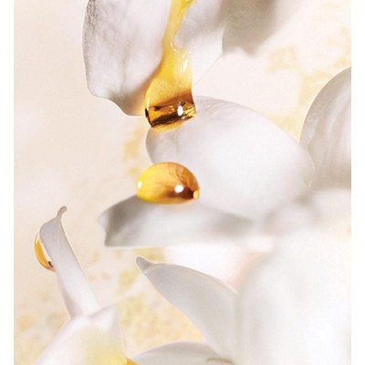 1 - Dior J’adore Eau De Parfum 150ml