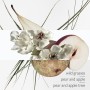 1 - Un Jardin sur le Toit Eau de Toilette