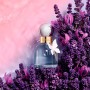 4 - Cacharel Ella Ella Flora Azura Eau De Parfum 50ml