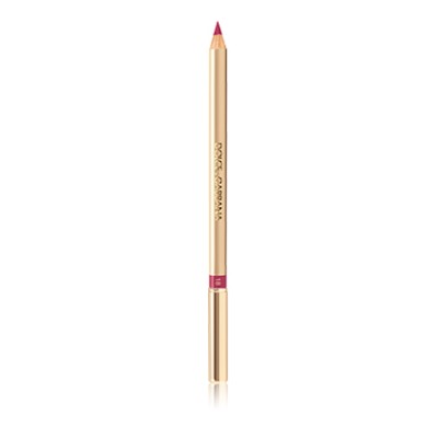1 - Dolce&Gabbana The Lipliner 16 Rosa