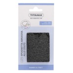 1 - TITANIA 3000/2 foot care appliance Foot pumice Black
