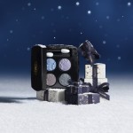 4 - CHANEL Les 4 Ombres eye shadow 2 g 397 Nuit Astrale Matte, Pearl, Satin