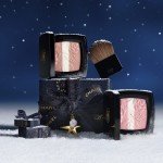 4 - CHANEL Les Signes De blush 14 g 997 Rose Lumière Powder