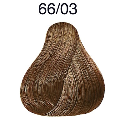 1 - Wella Color Touch Plus 66/03 60ml