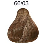 1 - Wella Color Touch Plus 66/03 60ml