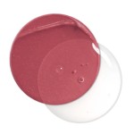 3 - CHANEL LE ROUGE DUO ULTRA TENUE lip gloss 8 ml 48 Soft Rose