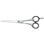 1 - KIEPE Professional 6.5 ", Convex Razor / Regular