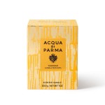 4 - Acqua di Parma Torrone candela di cera Cilindro Oro 1 pz
