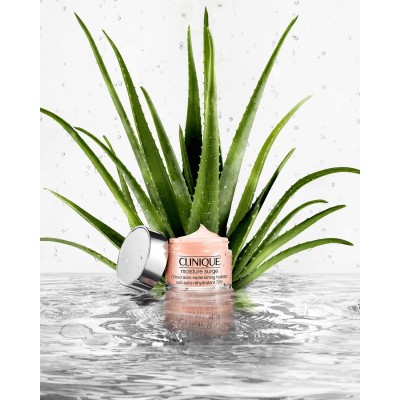 1 - Clinique Moisture Surge 72-Hour Auto-Replenishing Hydrator, 30ml