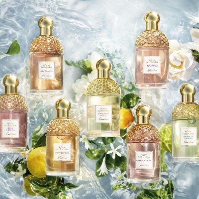 1 - Guerlain Aqua Allegoria Herba Fresca Eau De Toilette 125ml