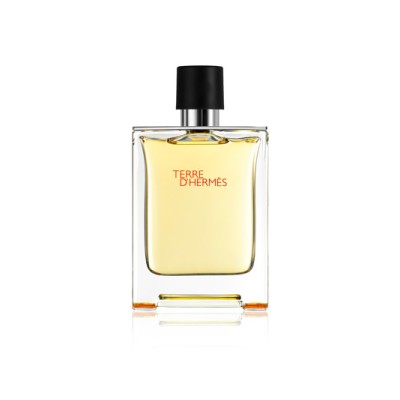 1 - Hermes Terre d'Hermès 100ml