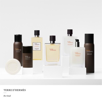 1 - Hermes Terre d'Hermès Eau de toilette 50ml