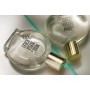 1 - Alyssa Ashley Musk Perfume Oil 15 ml