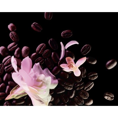 1 - Yves Saint Laurent Black Opium - Floral Shock 50 ml Donna