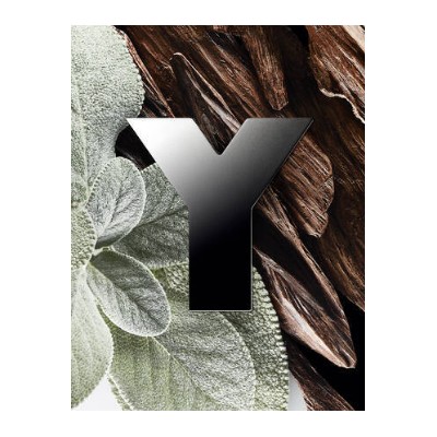 1 - Yves Saint Laurent Y, 40 ml
