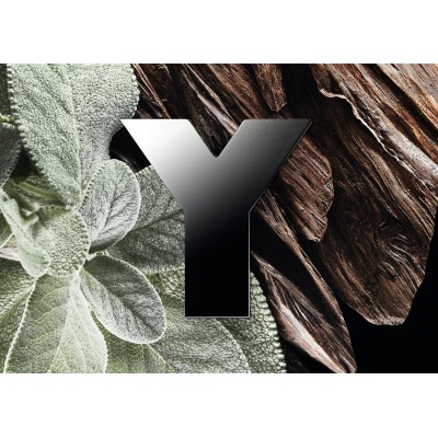 1 - Yves Saint Laurent Y Eau De Parfum 40ml