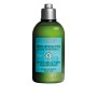 1 - L'Occitane Aromachologie Purifying Freshness Conditioner, 250ml