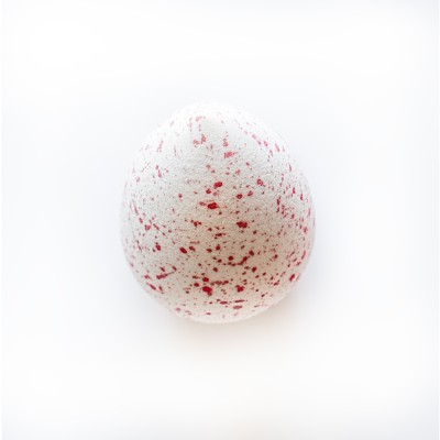 1 - Ethos Oval - Spugna Blender Ovale