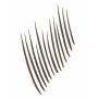 1 - Maybelline MAY BUILD A BROW 262 BLACK BROWN