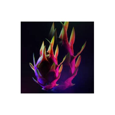 1 - Yves Saint Laurent Black Opium Neon Eau De Parfum 30ml