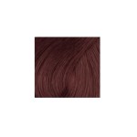 1 - L’Oréal Paris Inoa, № 5.52