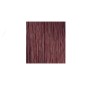 1 - L’Oréal Paris Inoa Carmilane, № C4.62