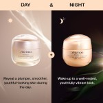 1 - Shiseido Benefiance Overnight Wrinkle Resisting Cream 50 ml