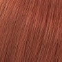 1 - Wella Color Touch Vibrant Reds 8/41 Light Blonde/Red Ash 60 ml