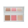 1 - Diego dalla Palma Icy Bloom - Palette Polveri Viso 356