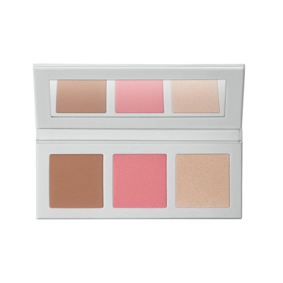 1 - Diego dalla Palma Icy Bloom - Palette Polveri Viso 356