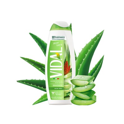 1 - Vidal Bagnodoccia Aloe Vera 250 ml
