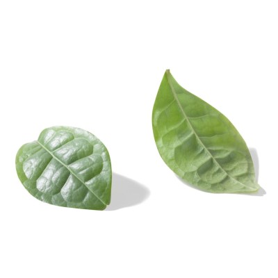 1 - NIVEA Naturally Good Green Tea Women Roll deodorant 50 ml 1 pc(s)