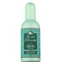 1 - Tesori d’Oriente Matcha Green Tea Unisex 100 ml